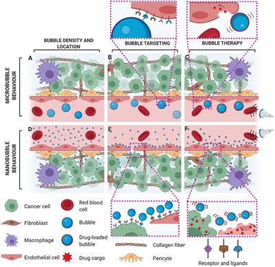 Acoustically-Stimulated Nanobubbles: Opportunities in Medical Ultrasound Imaging and Therapy